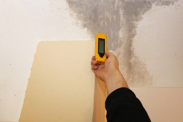 Best Asbestos and Lead Testing During Mold Inspection  in Orchard Hills, PA