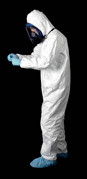 Best Mold Damage Restoration  in Orchard Hills, PA