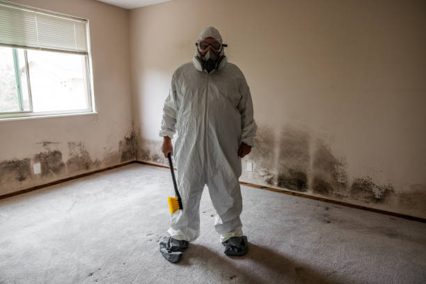 Best Mold Odor Removal Services  in Orchard Hills, PA