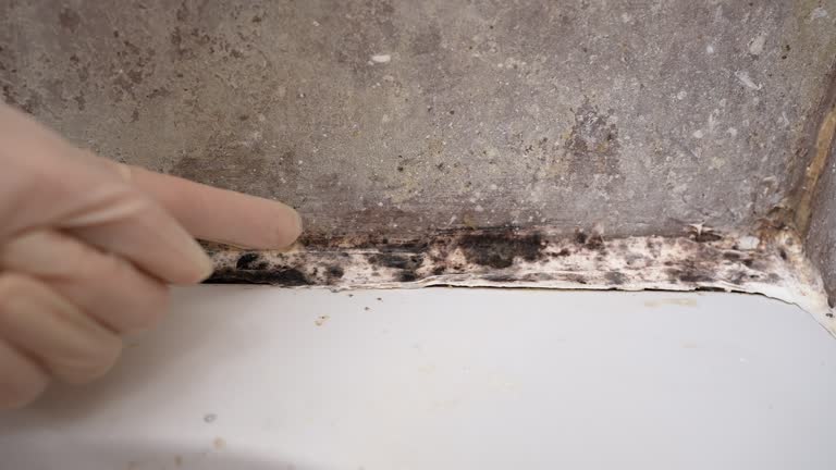 Best Indoor Air Quality Assessment  in Orchard Hills, PA